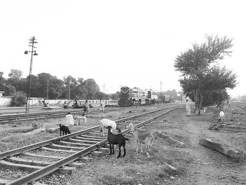 pakistan lines silhouette photography track bokeh railway pk punjab blacknwhite multan iphone abandones