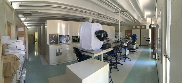 A view of the room that stores the entomology collection at the Frost Entomological Museum. The collection is stored in the cabinets and there is a nice workspace near the front windows for curatorial projects and digitization.