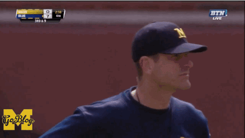 Image result for harbaugh gif