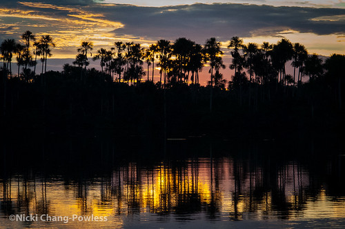 sunset lake peru nature rainforest reserve jungle sandoval tampopata