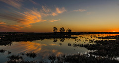 Australian wetlands
