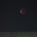 Lunar Eclipse - Blood Moon