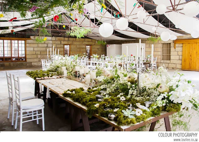 Leafy green Free State Wedding main table backdrop