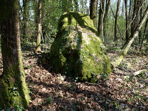 forêt huguenots menhir mégalithe paysdelaloire loireatlantique pierrepin sionlesmines pierredeshuguenots