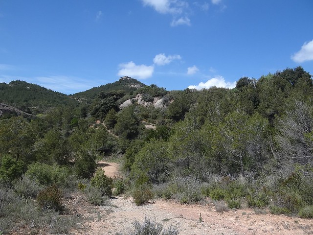 Montserrat landscape
