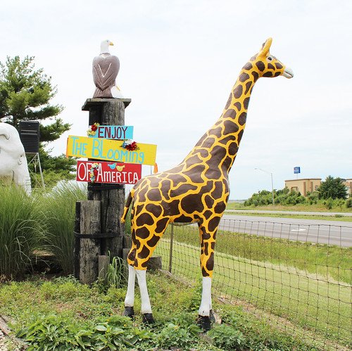 haubstadt indiana hippnursery fakeanimals statue giraffe eagle