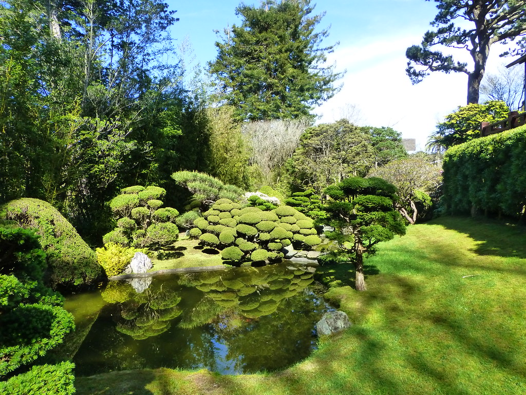 Japanese Garden In Sf Anny Travels Flickr