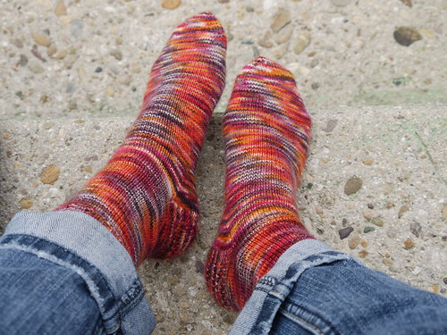 Gnome Acre socks