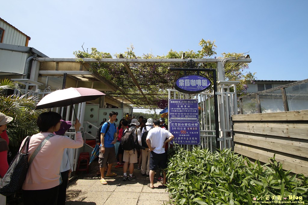 紫藤咖啡園 (18)