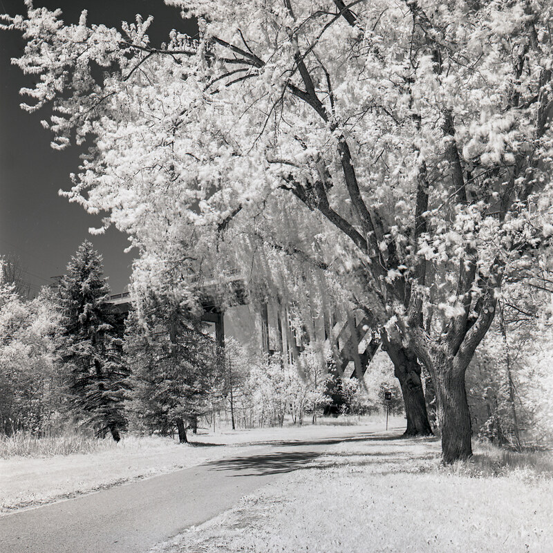 Taylor Creek Infrared