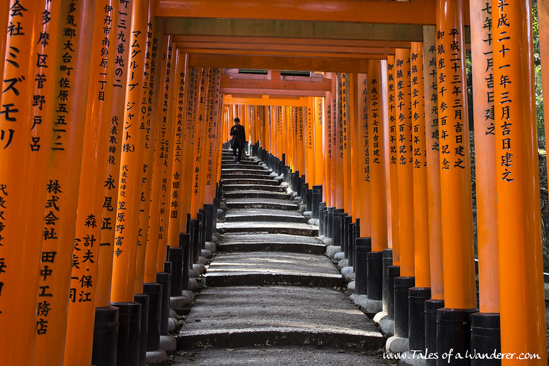 京都 KYŌTO - 伏見稲荷大社 Fushimi Inari-taisha