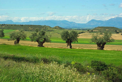 españa spain culture aragon campagne espagne olivier champ monegros uson