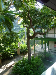 Jayuya, Hacienda Gripinas (2)