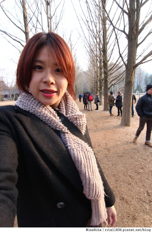 韓國 旅遊 韓國好玩 韓國 南怡島 韓劇景點 冬季戀歌場景 南怡島22