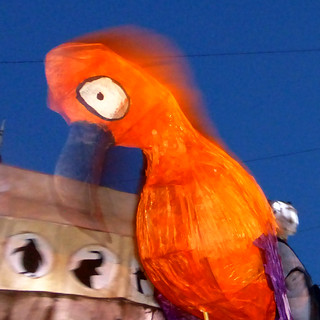 parrot lantern