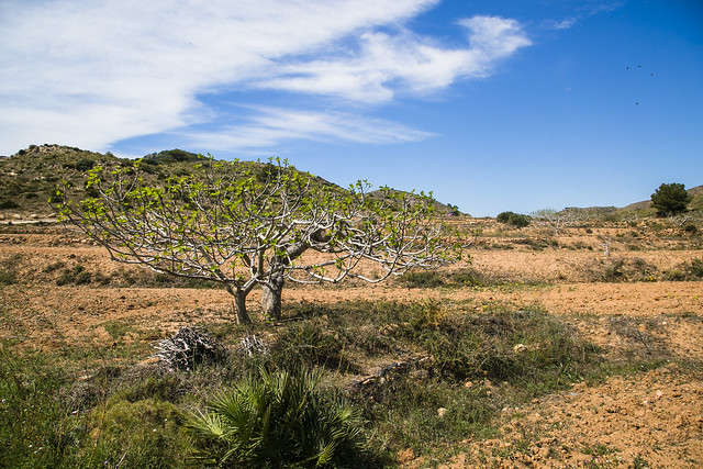 Parque Natural Calblanque, Murcia
