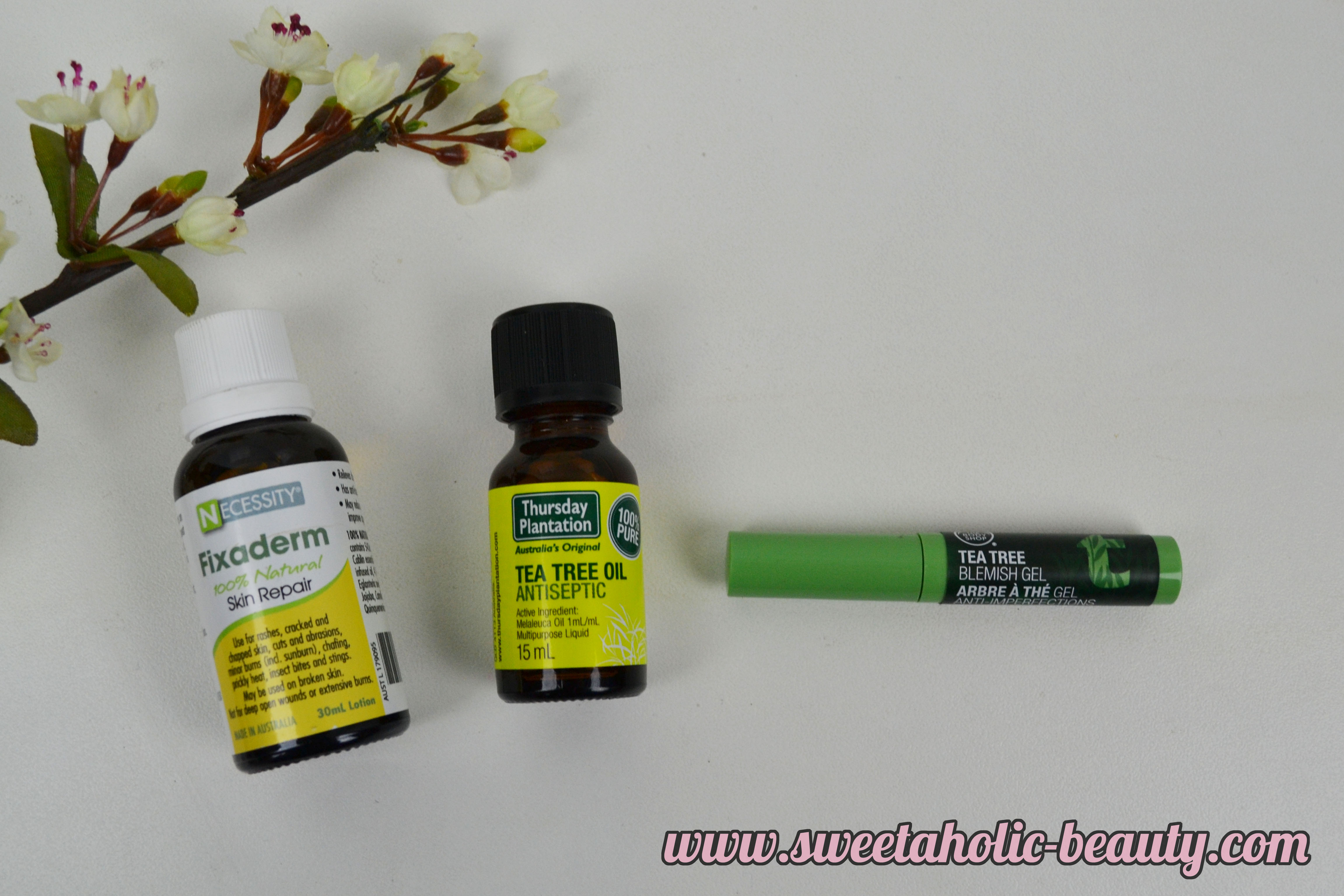 Blemish Busters, Acne, Skincare, Skin Problems, Bbloggers, Fixaderm, The Body Shop, Tea Tree, 