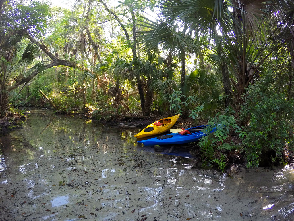 Kayaking the Chazz