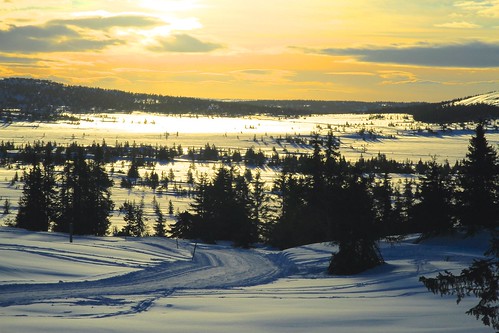 winter sun snow ski norway canon easter norge norwegen 7d noruega 2015 fotoroar