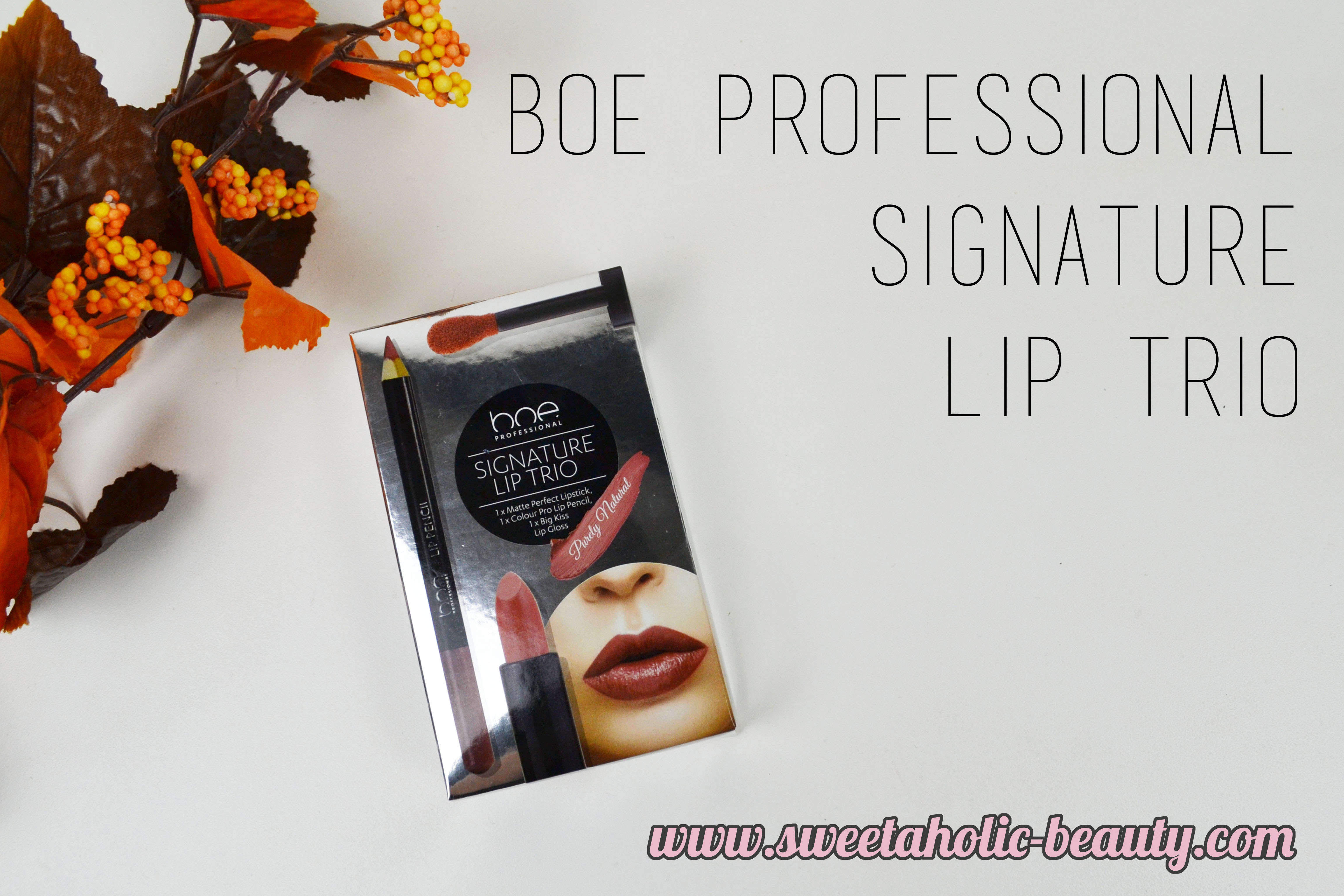 Boe Professional Signature Lip Trio, Boe Professional, Boe Beauty, Big W, Lips, Lipstick, Lipgloss, Lip Liner,