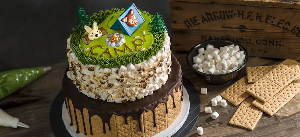 Toasty s'mores camping cake by Cakes.com