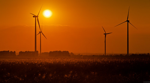 sunset summer sun germany deutschland sonnenuntergang sommer landschaft sonne windpower windkraft windkraftanlage sachsenanhalt rottmersleben