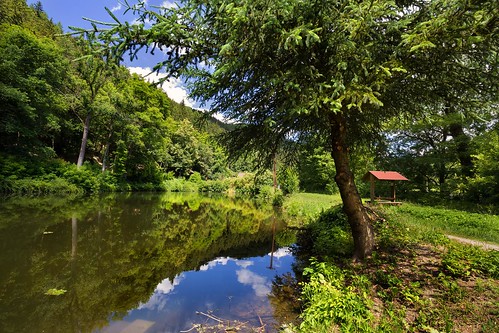 trees tree surface mirroring moravian pond water view valley sky scene rural nature natural leaf landscape green grass forest country clouds cloud beautiful background