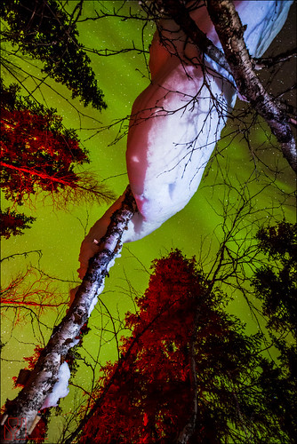 lapland sverige northernlights auroraborealis zweden noorderlicht xplorethenorth