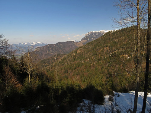 trees snow mountains alps forest trekking trek austria spring hiking path trail tyrol kufstein stadtberg