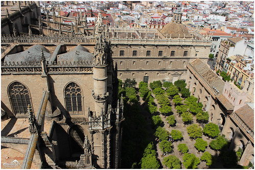 city travel trees panorama tower tourism canon eos sevilla spain europe view cathedral minaret andalucia historical lonelyplanet dslr giralda unescoworldheritage nationalgeographic birdsview ancienttown 600d