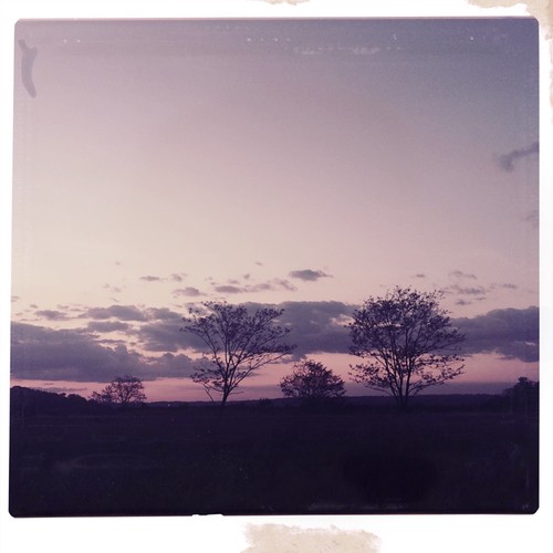 trees sunset huntington wv westvirginia hipstamatic purpleraindropsgelflash yoonalens mannekenfilm