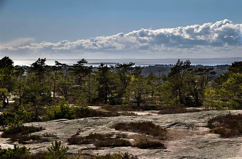 trees sea norway clouds forest pines fjord fredrikstad gressvikmarka sprinkelet