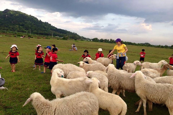 chụp ảnh tại Đồng cừu Suối Nghệ