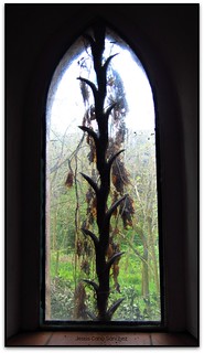 La finestra de la capella de Can Maspons