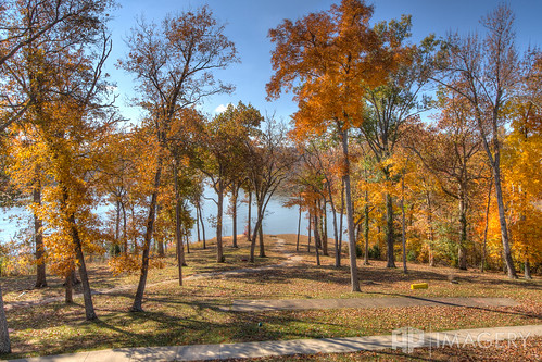 statepark park autumn trees lake fall leaves colorful roughriver lodgedam