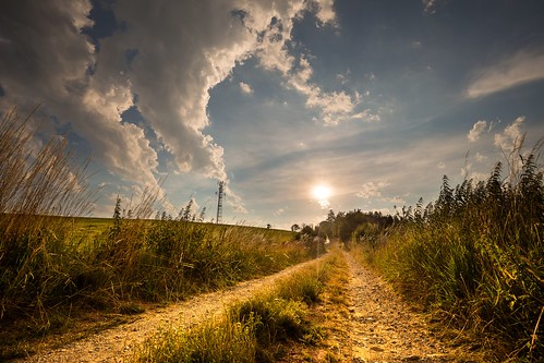 road dirt moravian trees tree sunset sunlight summer spring sky season scenic scenery rural plant outdoor nature landscape land idyllic horizon green grass forest field farm evening environment day countryside country cloudy clouds cloud beauty beautiful background agriculture