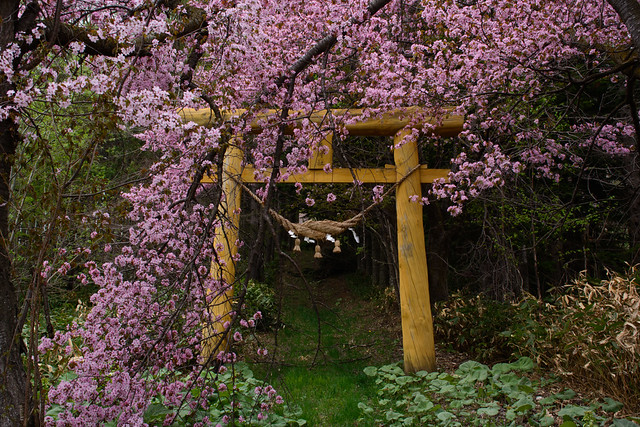 八幡丘神社