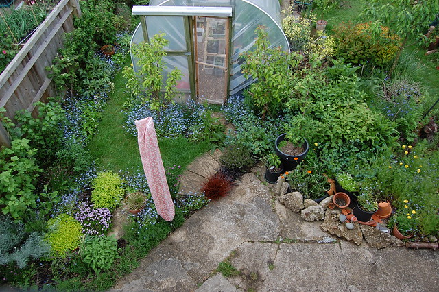 Looking down on the garden from an upstairs window