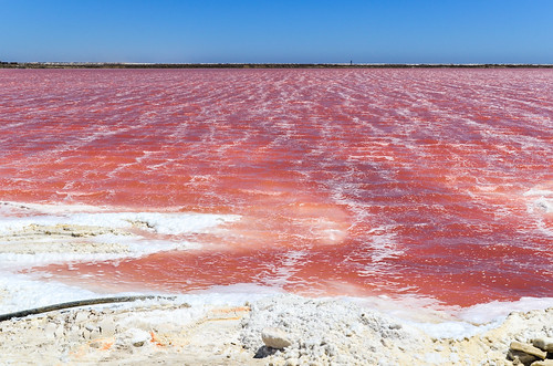 Pink waters of the salt pans of Walvis Bay, Namibia