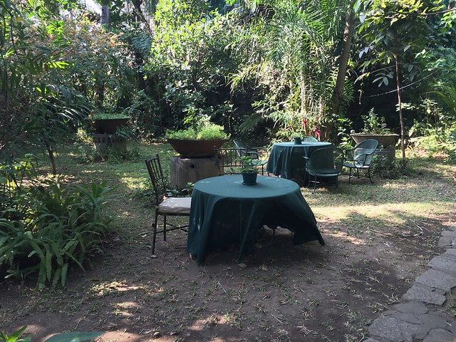 Malu Veloso, garden