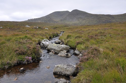 Merrick & the Saugh Burn