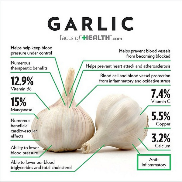 Image result for garlic benefits