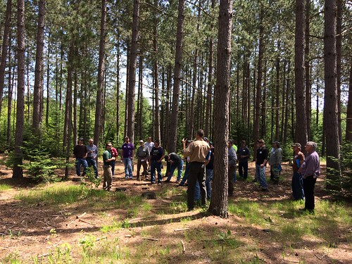 people minnesota forests workshops 2015 sfec timbersaledesignwildlifeperspective2015sfec timbersaledesign wildlifeperspective