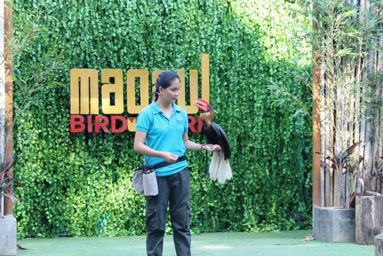 Magaul Birds' Park at Jest Camp Subic