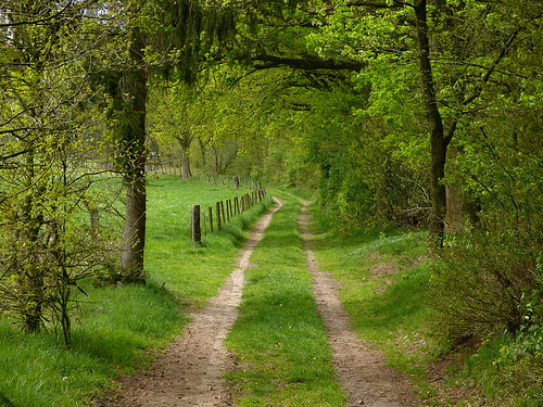 holland green netherlands fence landscape groen pad nederland dirtroad achterhoek landschap hek gelderland montferland stokkum panasonicdmcfz150 1210590