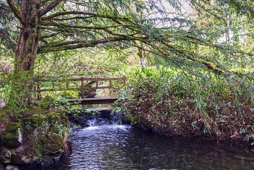 uk river season landscape japanesegarden scotland waterfall spring pond stream europe unitedkingdom places watergarden peebles borders stobocastle