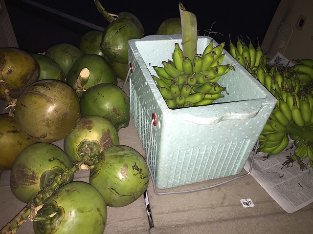 newly harvested buko and bananas