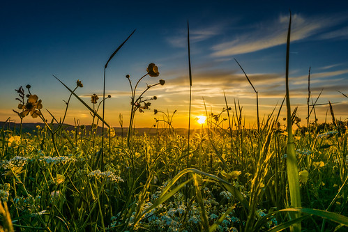 sunset de landscape deutschland spring outdoor pflanze feld bluesky gras alb sonnig landschaft badenwürttemberg swabianalb sanktjohann heiter