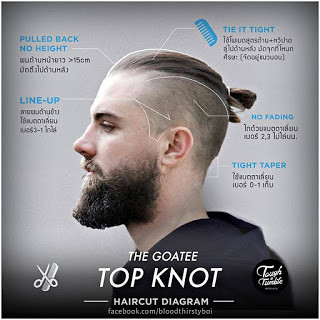 goatee-top-knot-haircut-diagram