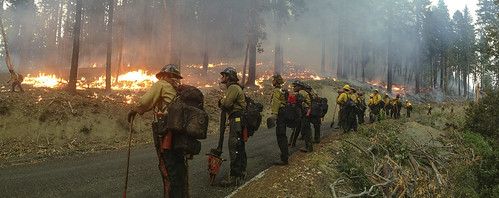 Panorama of the Geronimo Interagency Hotshot Crew along forest road